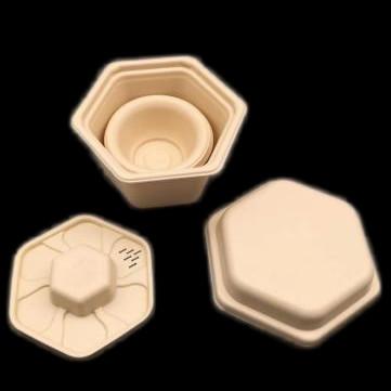 Hexagonal Travel Compostable Disposable Tea Pot Corn Starch Tea Set Pot