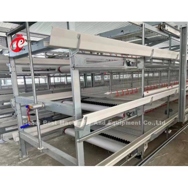 Poultry Farm Automatic Baby Broiler Battery Cage System Rose
