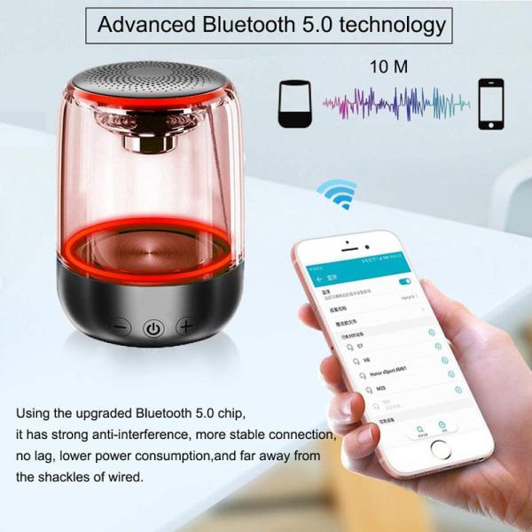 100Ft Wireless Portable Speaker Rich Bass True Wireless Stereo Speakers Crystal Clear