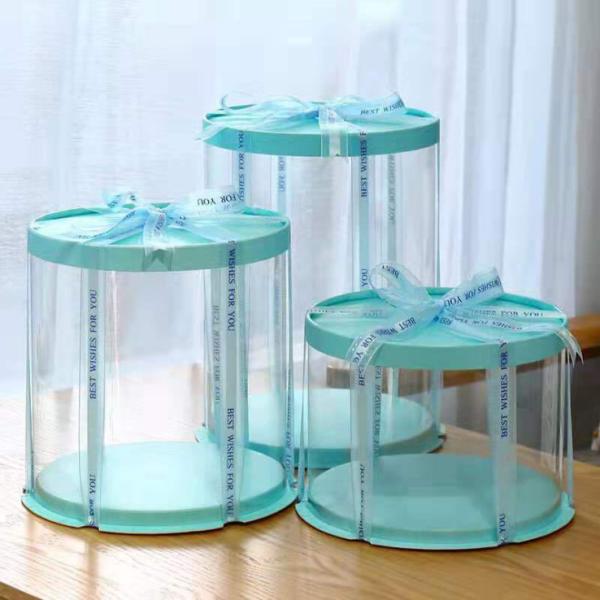 10 Inch Eco Friendly Plastic Packaging Round Transparent Food Grade PET Cake Boxes
