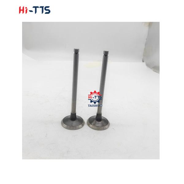 6BT 4BT Diesel Engine Spare Parts Inlet Valve 3901117 3920867 3920868