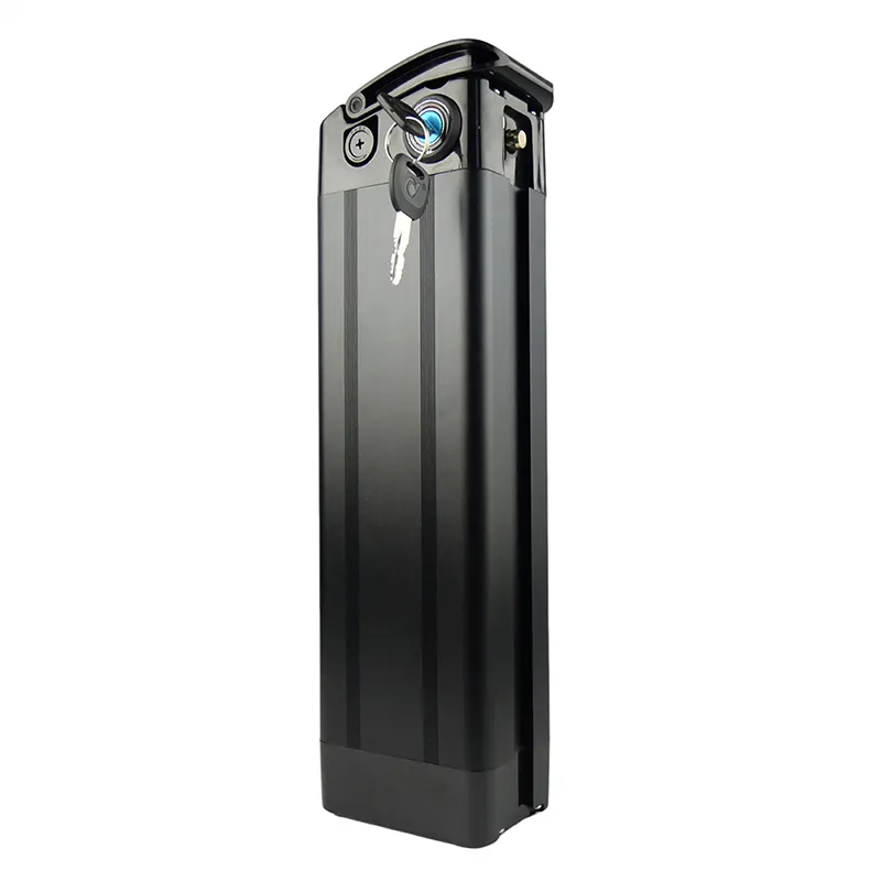 Custom Silver Fish Ebike Lithium Battery Pack 36V/48V 10Ah-20Ah