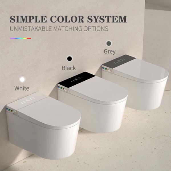 Elongated Bowl Smart Toilet Equipped With Siphon Jet Flushing Method