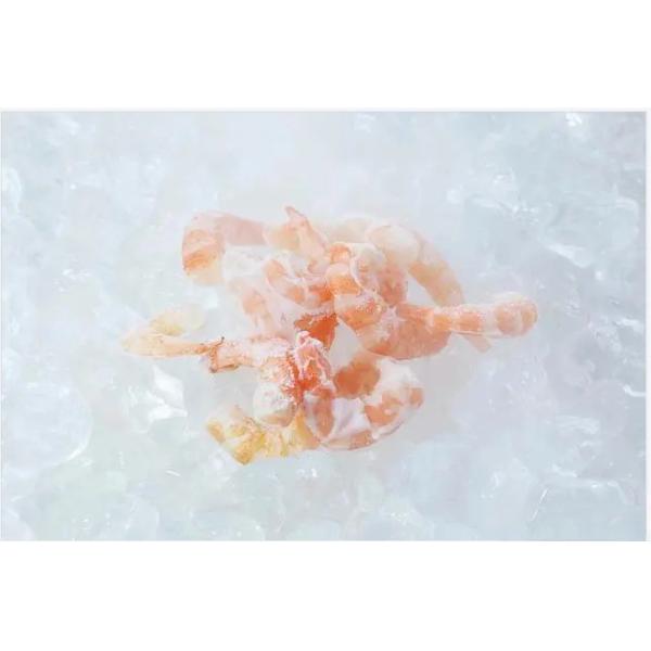 Коммерчески создатель льда хлопь для разделенной мастерской 300kg 500kg еды ультрафиолетовой стерилизации дружелюбной