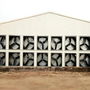 YANTAI BAGEASE POULTRY FARMING EQUIRMENT CO.,LTD
