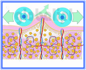 Weight Loss Vacuum cavitation system , hifu liposonix focus ultrasound body shaping machine