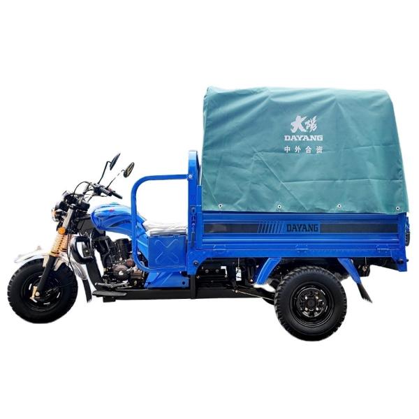 Three Wheels Heavy Duty Truck Tyre Cargo Bike Tricycle for Transporting Auto Rickshaw