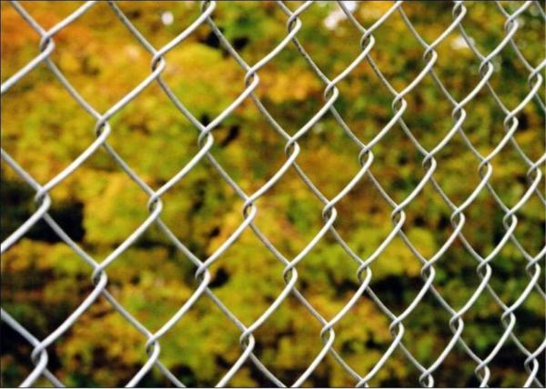 Chain Link  Faric Mesh Made In China ,China Chain Wire Fence Manufactuers