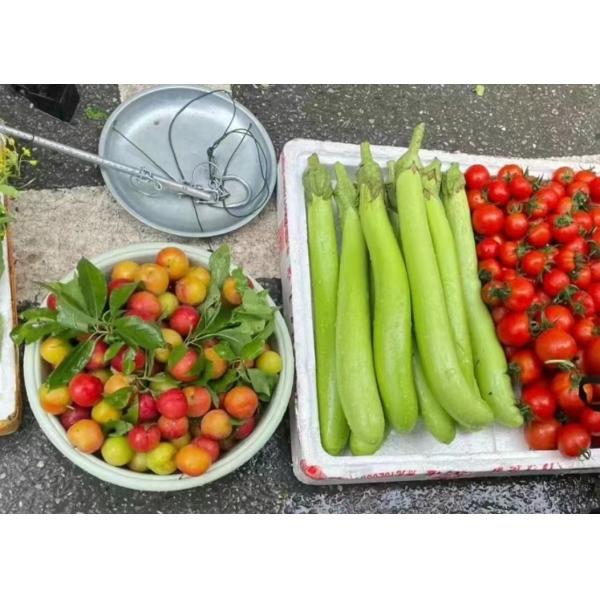 Deep Sea fish meal fish bone liquid Fertilizer fish amino acid fertilizer for plants crops