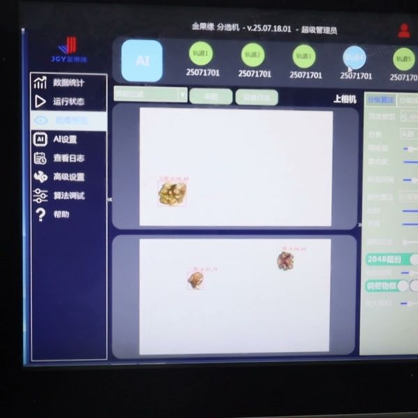 Professional Walnut Kernel Grading System Features Servo Control For Fast Response And Quiet Workplace Operation