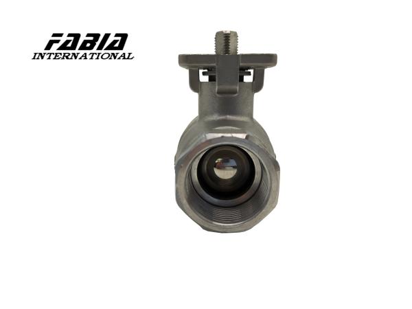 Two Piece Ball Valve Stainless Steel Ball Valve FABIA Industry valves