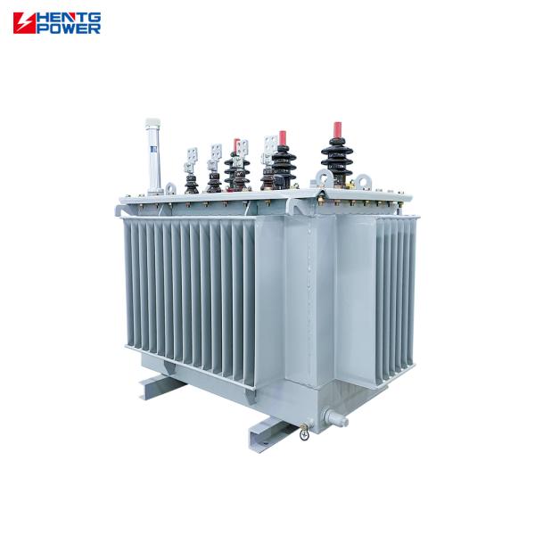 HENTG POWER 100kVA 11kV 0.4kV Oil Immersed Transformer Three Phase ONAN Distribution Step Down Power Transformer for African Rural Electrification Grid and Mini Substation Application