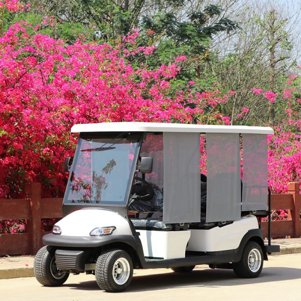 Wholesale 6 Seaters New Energy Golf Cart with 48V Trojan Battry