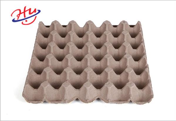 Egg Tray Moulding Machine Paper Plate Manufacturing Equipment