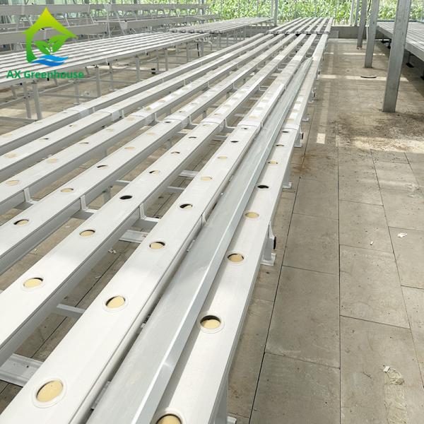 垂直農業 土のない栽培 水栽培 NFT 平方パイプシステム