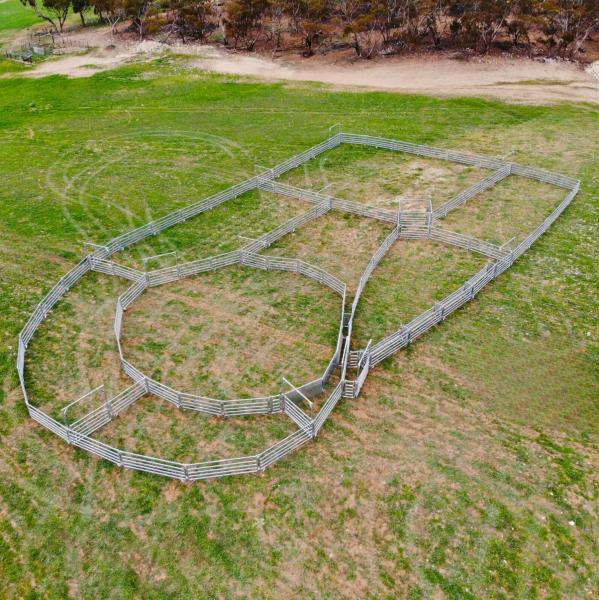 30X60mm Oval Rail Tube Durable Sheep And Goat Panels Metal Farm Fencing