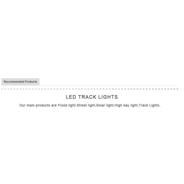 HOT SALE COB Led Tracking light  25W 32W 42W RA>90 PF>0.95 110LM/W COB Gallery Integrated driver Led Track lighting