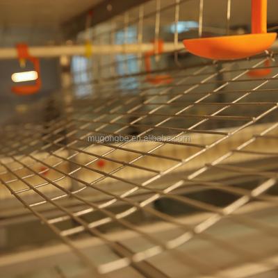 Factory Price Automatic System Battery Broiler 10000 Layer Chickens Farm Bird Cage for Sale