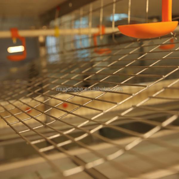 Factory Chicken Cage Battery System for Broiler Poultry Farming
