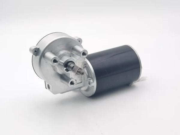 O poder elétrico 50-60w do motor da fase monofásica da tensão 12-36v do motor da engrenagem KG-MDC241403 usou-se para o juicer lento