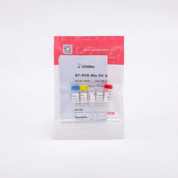 RT PCR Mix For Reverse Transcriptase PCR Reagents R1031 100 Rxns