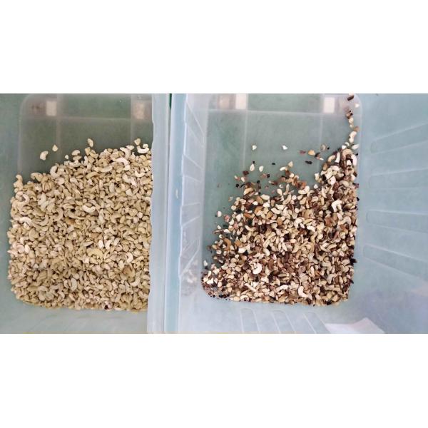 Wenyao Professional Nuts Separation Machine Cashew Nut Walnut Areca Nut Color Sorter Machine with WIFI Remote Control