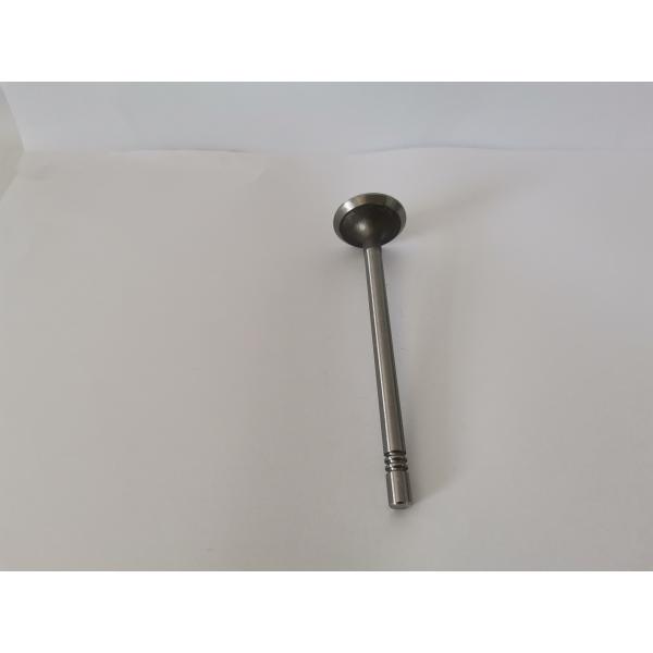 VOLKSWAGEN AMAROK Diesel Engine Spare Parts Exhaust Valves V74105