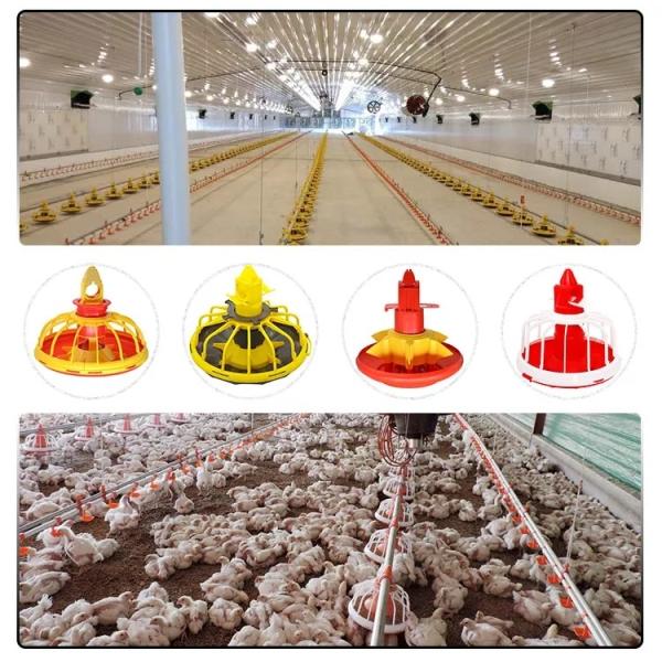 Chicken Drinking Automatic Pan Feeding System For Poultry Farming Equipment