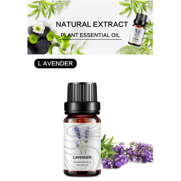 эфирное масло MSDS лаванды OEM эфирного масла лаванды 1000ml чистое