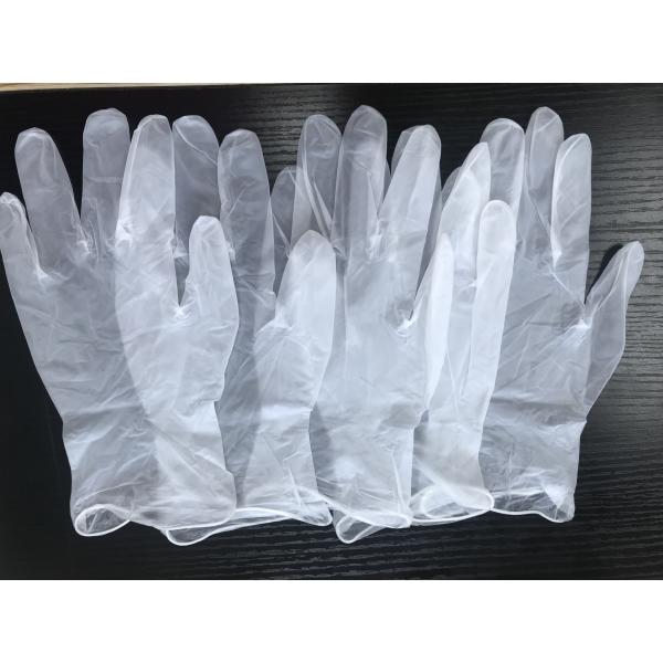 Mechanical Repairs Printed Powder Free Vinyl Gloves With Rolled Rim