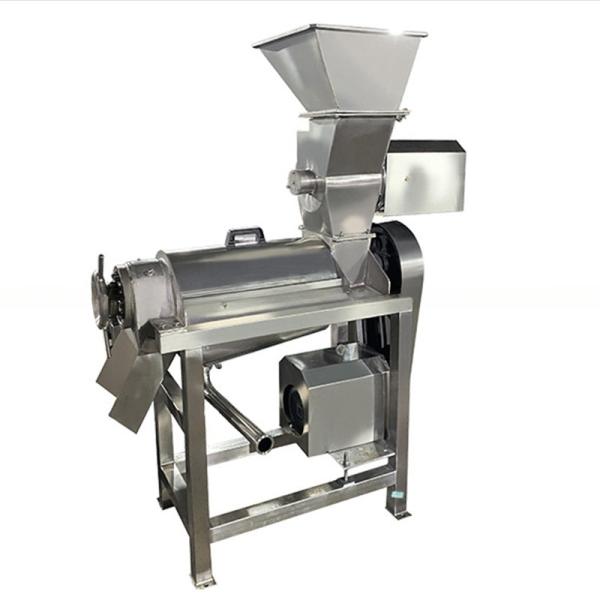 Commercial automatic fruit orange juicer machine cold press industrial juicer fruit extractor machine
