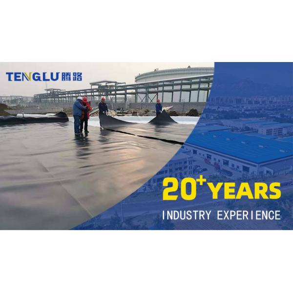 Chinese Geomembrane Impermeable Fish Pond Shrimp Pond Cistern Waterproof Membrane