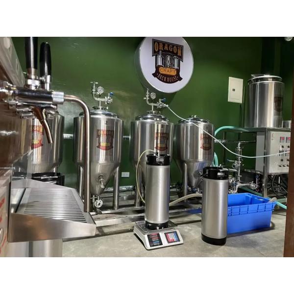 Электрическое отопление 100L домашнее пивоварное оборудование регулируется в соответствии с вашими требованиями