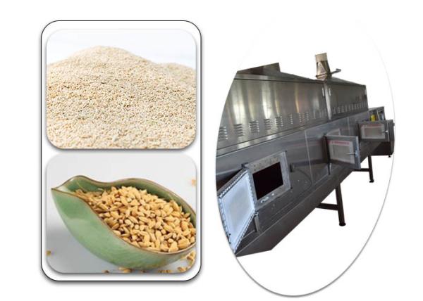 High Efficiency Conveyor Belt Agriculture Microwave Sterilization Machine Silvery White Color Stainless Steel