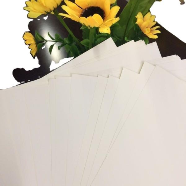 Offset Printing Ecofriendly Ivory Folding Box Paper with Wood Pulp at Competitive