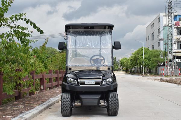 Convenient Electric Golf Buggy Italy Graziano Axle 12/1 Trojan Battery