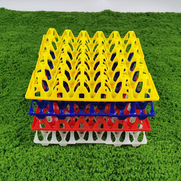 Colorful Egg Storage Tray With Eco Friendly Carton Packaging For Agriculture Industry