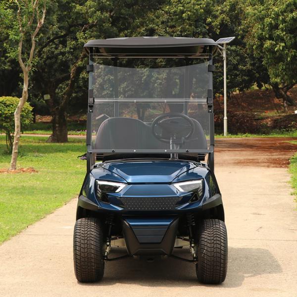 Affordable 2 Seaters Electric Golf Cart With Lithium Battery