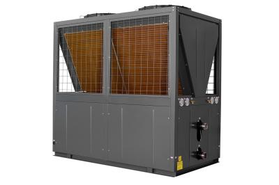 70KW Heating And Cooling Heat Pumps For Apartment Buildings / Villa