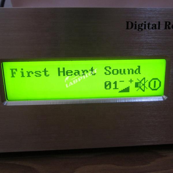 Half Body Manikin for Physical Examination Teaching in Women-Children Special Hospital