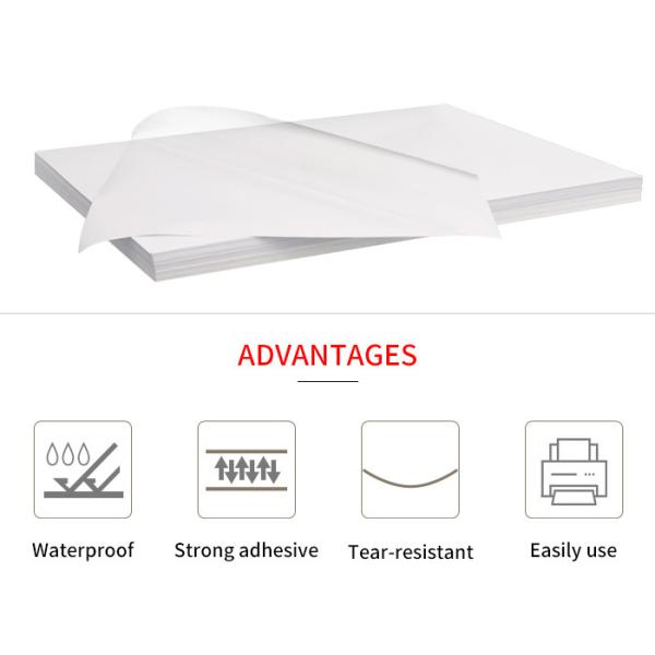 Стикер бумажное 130g фото ЛЮБИМЦА A4 просвечивающий лоснистый для струйного принтера