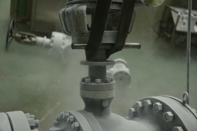 Floating Type Cryogenic Valve For LNG Distribution