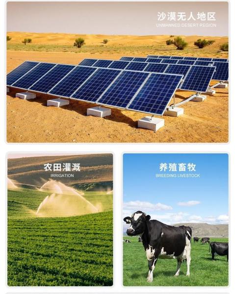 Submersible Solar Water Pump Deep Wells Agricultural Irrigation Solar Panel Integration