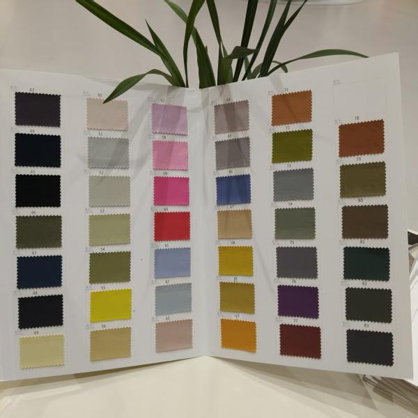 Thin And Breathable 100% Nylon Fabric 169GSM Nylon Dress Fabric