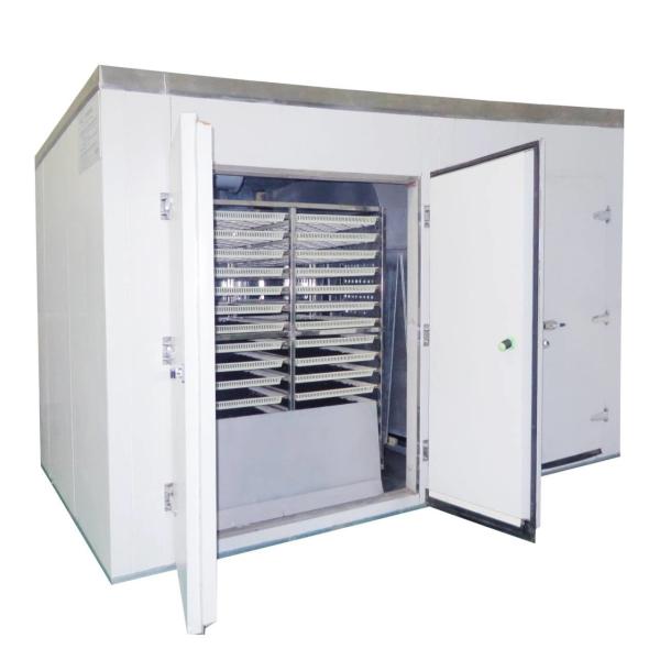 HengShou Commercial Industrial Vegetable Drying Machine AC380V ODM