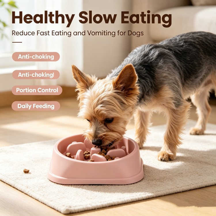 Eco Friendly Plastic Slow Feeder Dog Bowl With Non Slip Base