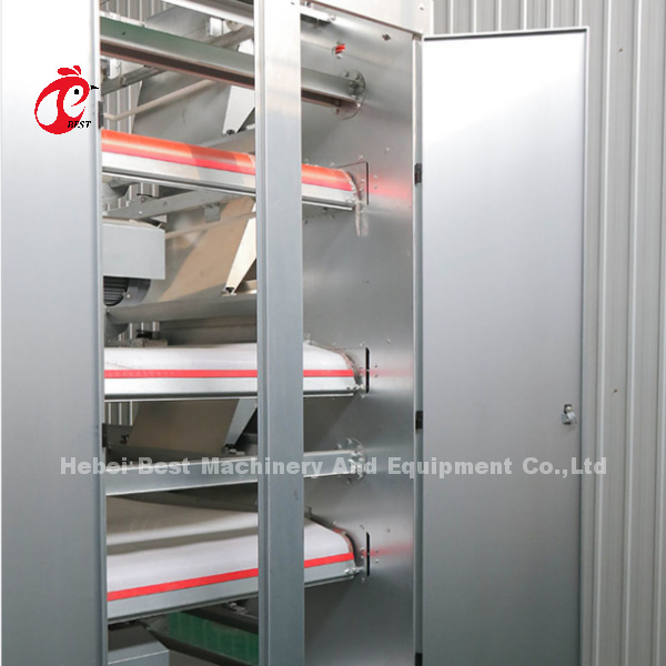 Battery Automatic H Type Poultry Cage System Hot Sale 240Birds Rose