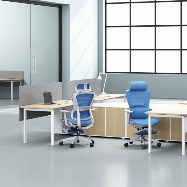 Adjustable Executive Mesh Office Chair 3D Armrest With BIFMA Standard