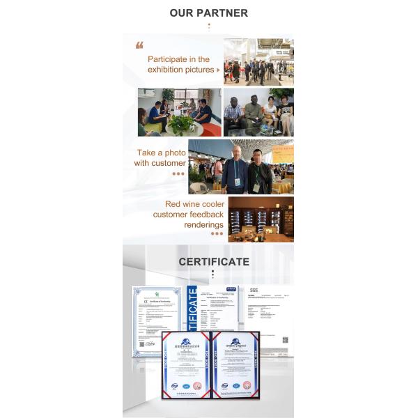 Small Wine Cooler Cabinet , Low Noise Free Standing Wine Fridge Cabinet