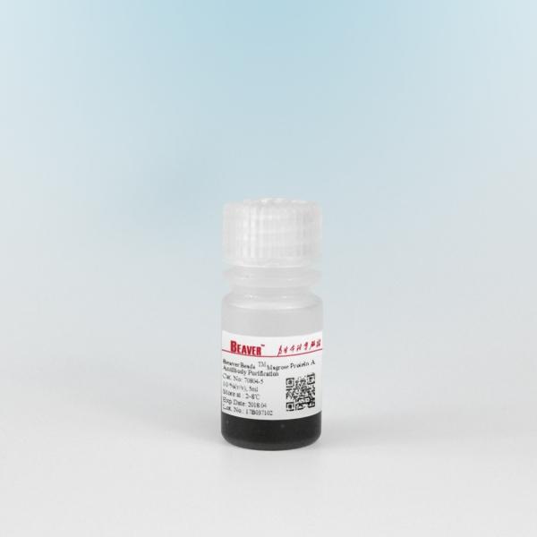 Протеин Agrose магнитный коэффициент тома очищения 10% протеина шариков 5 mL